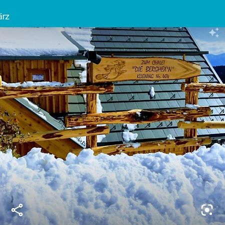Chalet Die Berghexn Klippitztorl ภายนอก รูปภาพ