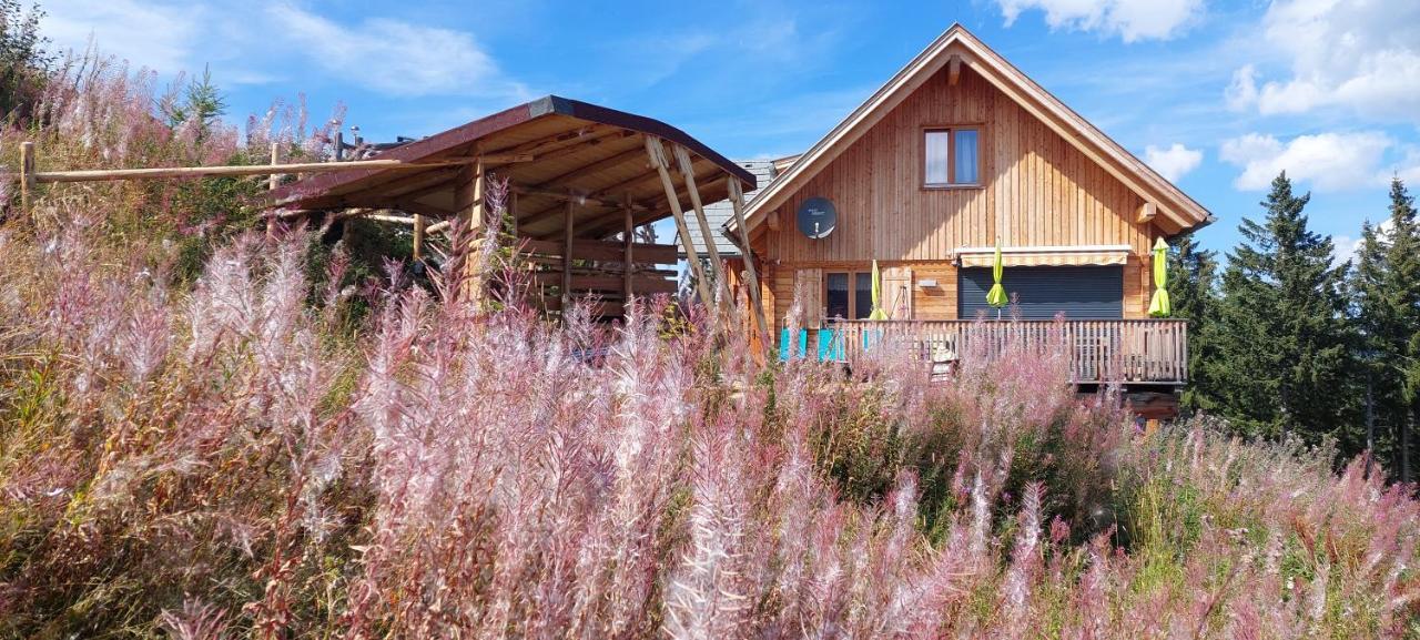 Chalet Die Berghexn Klippitztorl ภายนอก รูปภาพ